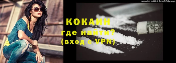 соль ск Богданович